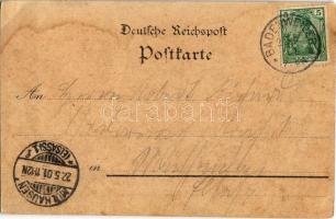 1901 Hochblauen, Prächtiges Alpenpanorama, Der Blauen mit Badenweiler, Aussichtsturm, Hotel Pension ...