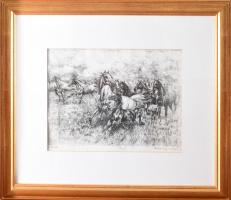 Rádóczy Gyarmathy Gábor (1943-): A csikó. rézkarc, papír, Jjl.: Rádóczy Gyarmathy G. A/E 8. 27,5x39 ...