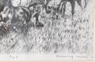 Rádóczy Gyarmathy Gábor (1943-): A csikó. rézkarc, papír, Jjl.: Rádóczy Gyarmathy G. A/E 8. 27,5x39 ...