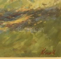 Ziegler Németh Ferenc (1971- ): Karcagi tanya. olaj, farost, jjl.: Németh. 37x60 cm, keretben, jó ál...