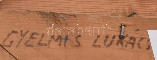 Gyelmis Lukács János (1899-1979): Virágcsendélet. olaj, vászon, 60x50 cm, keretben, jó állapotú