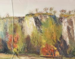 Hajós Hollanda Éva (1935-): Löszfal. Olaj, farost, jjl: Hajós. 50x90 cm, keretben, üvegezett, törött...