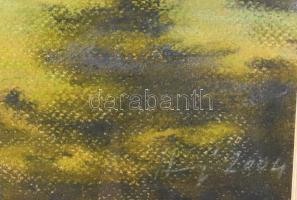 Harsányi Zsuzsanna: Gödöllői kastély. Pasztell, papír. Jjl: Harsányi 2004. 31,5x49 cm, keretben, üve...