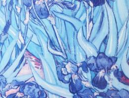 Van Gogh: Íriszek. nyomat, 50x63 cm, keretben, üvegezett, jó állapotú