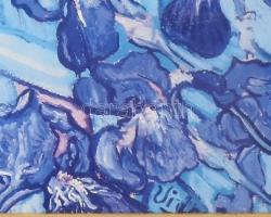 Van Gogh: Íriszek. nyomat, 50x63 cm, keretben, üvegezett, jó állapotú