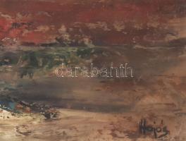 Hajós Hollanda Éva (1935-): Egyedül. Olaj, farost, jjl: Hajós. 40x60 cm, keretben, jó állapotú, faro...