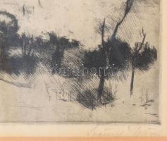 Szőnyi István (1894-1960): Virágzó fa. Rézkarc, papír. Jjl.: Szőnyi István; Jbl.: Virágzó fa. 20x24 ...