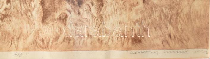 Rádóczy Gyarmathy Gábor (1943-): Vadászlovaglás. Rézkarc, papír. Jjl.: Rádóczy Gyarmathy G. A/E. 33x...