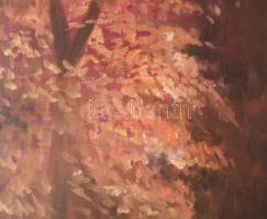 Károly Éva (-): Őszi erdő. olaj, vászon, jjl: Károly Éva 1996. 100,5x70,5 cm, keret sérült, kép jó á...
