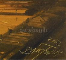 Bánfalvi Ákos (1943-): Aranyhíd a Duna fölött. Olaj, farost, jjl: Bánfalvi 2002. 70x100 cm, bal fels...