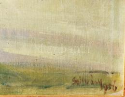Szilvássy Margit (1898-1977): Balaton. Olaj, vászon, jjl: Szilvásy 956. 60x80 cm, keretezett, jó áll...