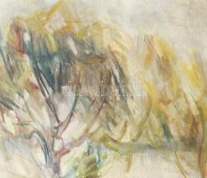 Szilvássy Margit (1898-1977): Balaton. Olaj, vászon, jjl: Szilvásy 956. 60x80 cm, keretezett, jó áll...