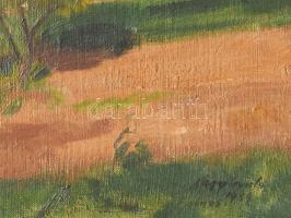 Nagy Gyula (1922-1966): Dömösi látkép. Olaj, vászon, jjl.: Nagy Gyula 1954 Dömös. 70x90 cm, kereteze...