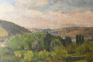 Nagy Gyula (1922-1966): Dömösi látkép. Olaj, vászon, jjl.: Nagy Gyula 1954 Dömös. 70x90 cm, kereteze...