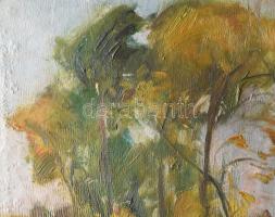 Nagy Gyula (1922-1966): Tájkép fákkal. Olaj, vászon, jbl.: Nagy Gyula. 55,5x70 cm, keretezett, jó ál...