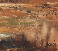 Hajós Hollanda Éva (1935-): Tanyavilág. Olaj, farost, jjl.: Hajós. 40x70 cm, keretezett, jó állapotú