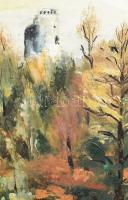 Hajós Hollanda Éva (1935-): Tájkép várral. Olaj, farost, jelzés nélkül. 60x40 cm, keretezett, jó áll...