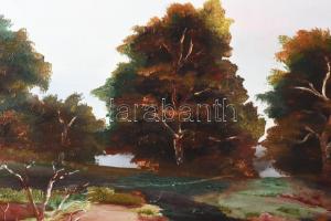 Gálfy Bódi Tamás: Csermely. Olaj, farost, jjl.: Gálfy.1992. 50x70 cm, keretezett, jó állapotú