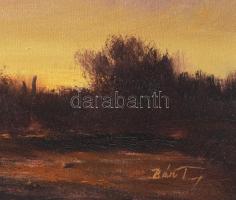 Bán Tibor (1963-): Naplemente folyónál. Olaj, vászon, jjl.: Bán Tibor. 29x89 cm, keretezett, jó álla...