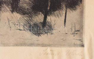 Szőnyi István (1894-1960): Virágzó fa. Rézkarc, papír, jjl.: Szőnyi István; jbl.: Virágzó fa. 20x24 ...