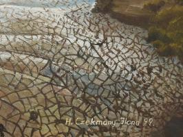 H. Czékmány Ilona: Aszály. Olaj, farost, jjl.: H. Czékmány Ilona 99. 36x53 cm, keretezett, jó állapo...