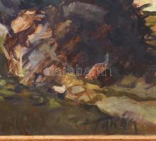 Takács Ferenc: Folyópart. Olaj, farost, jjl.: Takács. 40x60 cm, keretezett, jó állapotú