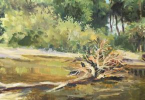 Takács Ferenc: Folyópart. Olaj, farost, jjl.: Takács. 40x60 cm, keretezett, jó állapotú