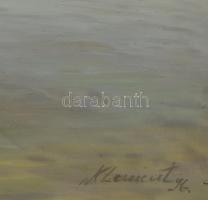 Klement Zoltán (1967-): Táj. Olaj, farost, jjl.: Klement 96. 76x102 cm, keretezett, kis sérüléssel. ...