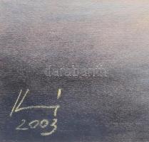 Harsányi Zsuzsanna: Horgásztó. Pasztell, papír, jbl.: Harsányi 2003. 48x31,5 cm, keretezett, üvegeze...