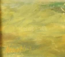 Ziegler Németh Ferenc (1971-): Erdélyi emlék. Olaj, farost, jbl.: Németh F. 40x50 cm, keretezett, jó...