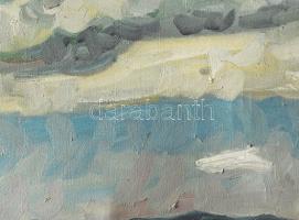 Fenyő Andor Endre (1904-1971): A Balaton ősszel. Olaj, vászon, jjl.: Fenyő; hátulján Képcsarnokos et...