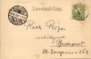 1900 Budapest XXII. Budafok, Anna utca, Louis Francois & Co. pezsgőgyára. Ifj. Simon József kiad...