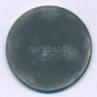 DN "Népkonyha Igazolvány" Zn bárca, "31"-es sorszámmal (32mm) T:XF korrózió