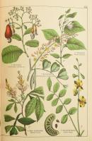 Gotthilf Heinrich von Schubert: Naturgeschichte des Pflanzenreichs nach dem Linnéschen System. 54 fe...