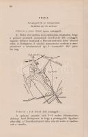 Kreybig Rudolf, madari (szerk.):

A cserkészet kézikönyve. Írták. Kreybig Rudolf, Hámos Nándor, Ko...