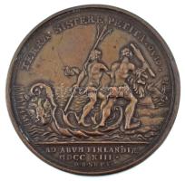 Orosz Birodalom ~1713. "I. (Nagy) Péter cár / Abo elfoglalása" bronz emlékérem, utánveret ...