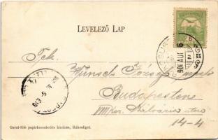 1906 Budapest XVII. Rákosliget. Garai-féle kiadása