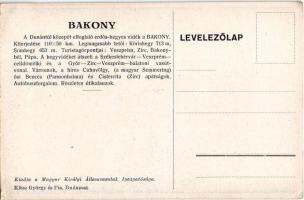 Tested-lelked felüdíti a Bakony. A Magyar Királyi Államvasutak (MÁV) Art Deco vasúti turisztikai rek...