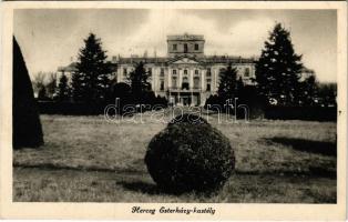 1941 Eszterháza (Fertőd), Herceg Esterházy kastély