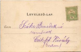 1901 Csíksomlyó, Sumuleu Ciuc; Tanítóképző, főgimnázium és gyakorló iskola. Jubileumi ünnepségen rés...