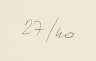 Hetey Katalin (1924-2010): Kompozíció. Szitanyomat, papír. Jelzett. Számozott (27/40). Lapméret: 54x...