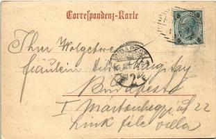 1904 Fulpmes (Tirol), gegen die Gletscher, Stubaital (EK)