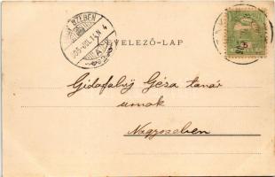 1905 Vízakna, Salzburg, Ocna Sibiului; Sósgyógyfürdő, A pázsitra lépni tilos. Takáts Jenő kiadása / ...