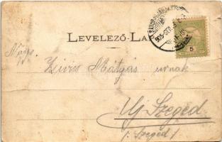 1905 Sátoraljaújhely, Erzsébet kórház. Lövy A. kiadása (fa)