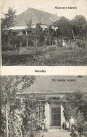 Gacsály Páll István és Madarasy kastély (EK)