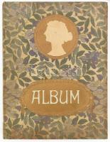 Dr. Kacziány Géza: A női szépség a festőművészetben. A Pesti Napló előfizetői számára készült kiadás...