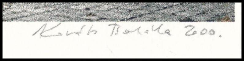 Kováts Borbála (1969-): Képeslap I., 2000. Elektrográfia, papír, jelzett, számozott: 2/1. 13x17 cm