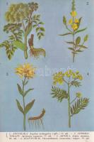 Varró Aladár Béla:

Gyógynövények gyógyhatásai. Növényi gyógyszerek. Hazai gyógynövényeink ismerte...