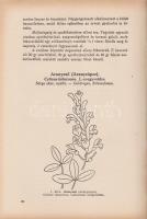 Varró Aladár Béla:

Gyógynövények gyógyhatásai. Növényi gyógyszerek. Hazai gyógynövényeink ismerte...