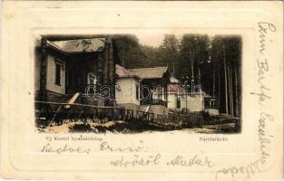 1902 Bártfafürdő, Bardejovské Kúpele, Bardiov, Bardejov; Új körúti nyaralótelep. Salgó Mór kiadása / villas